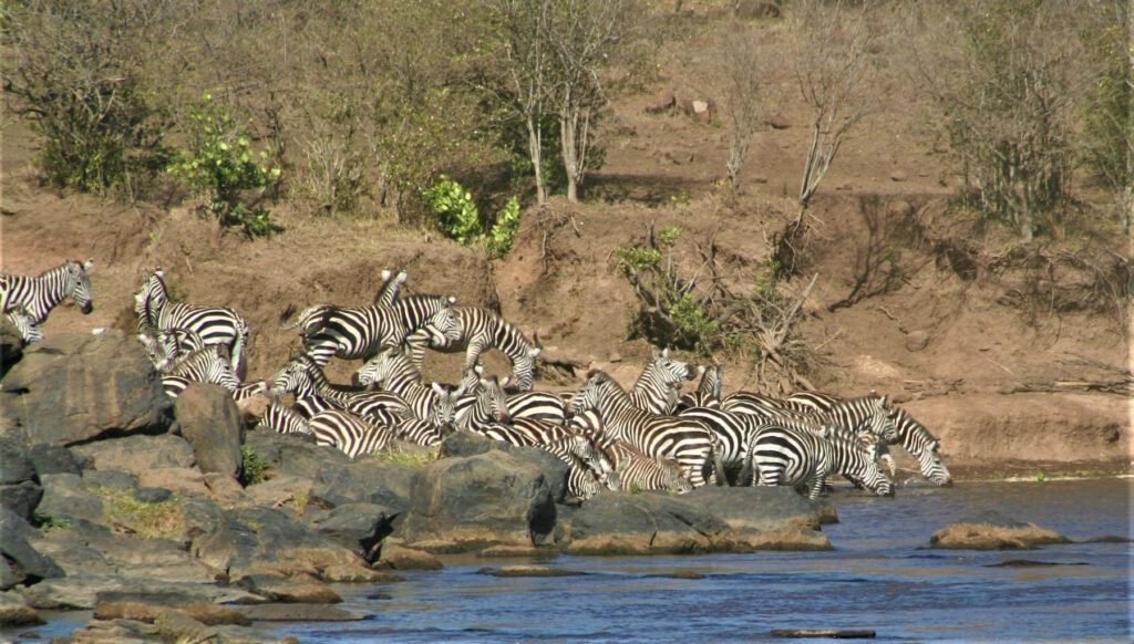 Safari Camping Serengeti