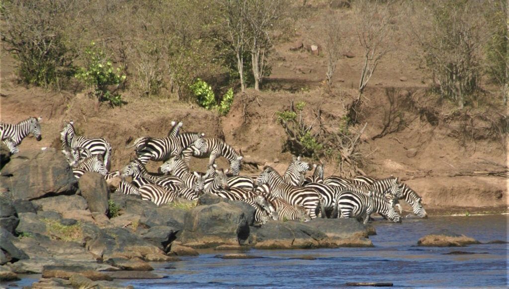 Photo Safari in Kenya